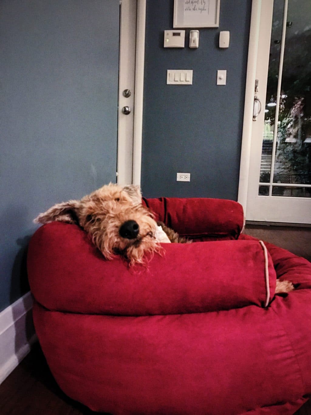 The Fashion Magpie Airedale Terrier Puppy Dog Bed