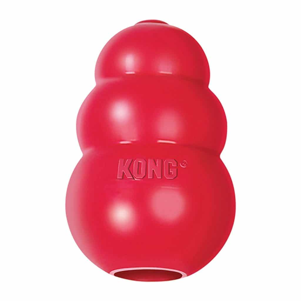 The Fashion Magpie Kong Dog Toy