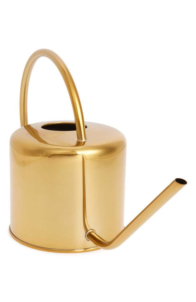 The Fashion Magpie Kikkerland Garden Watering Can