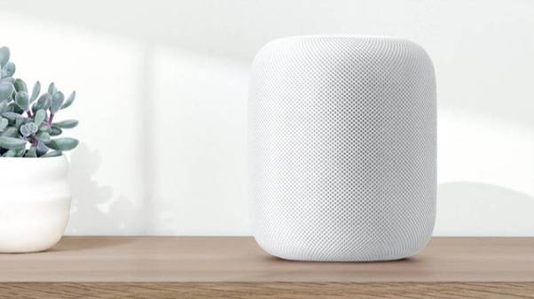 The Fashion Magpie Homepod