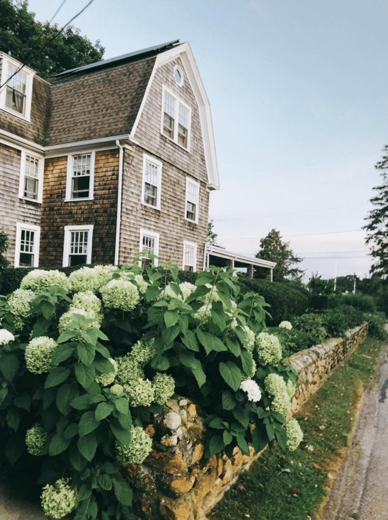 shingle house with hydrangeas out front