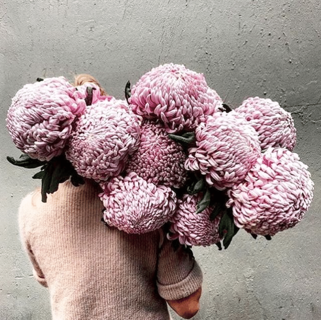 woman carrying bundle of flowers