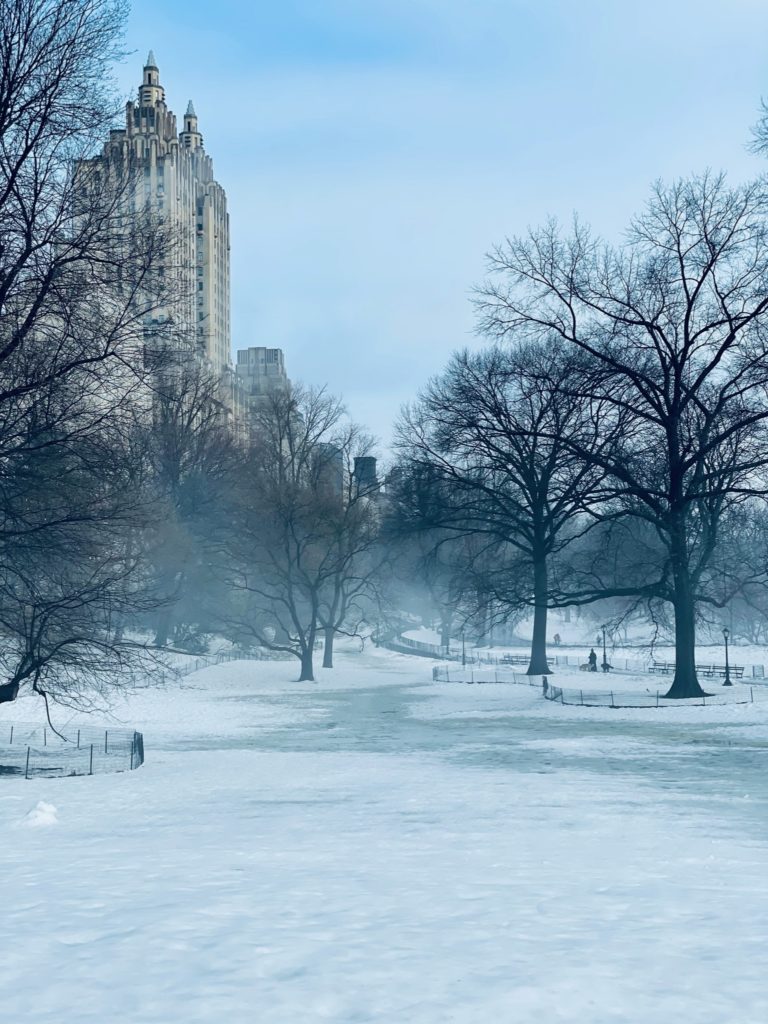 snow and fog in central park