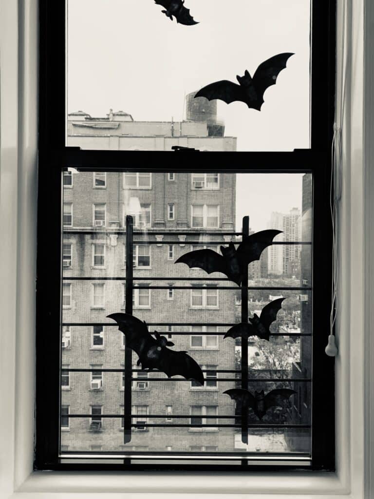 bats in windows for halloween