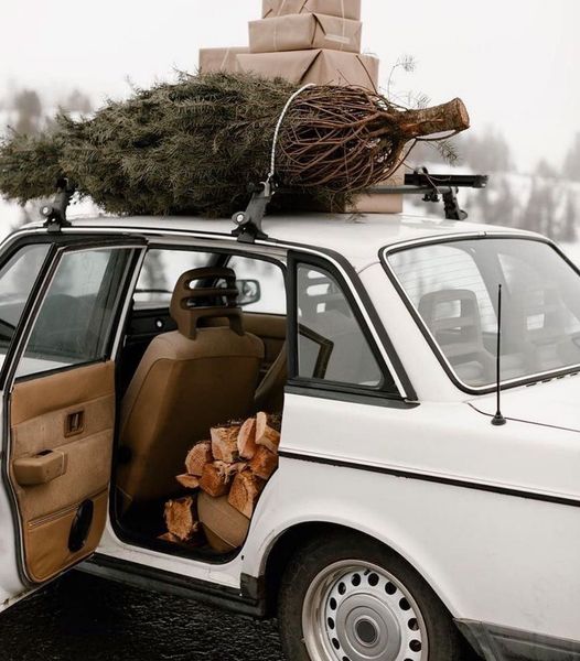 tree strapped to vintage car with presents on top