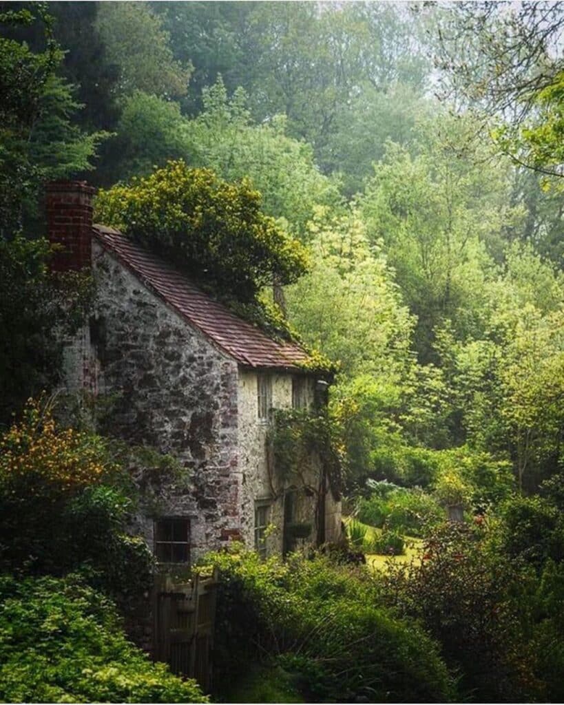 stone cottage nestled in woods