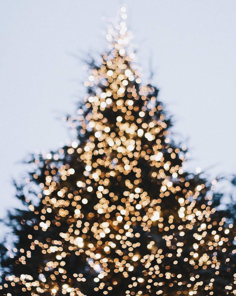 blurry christmas tree lights photo
