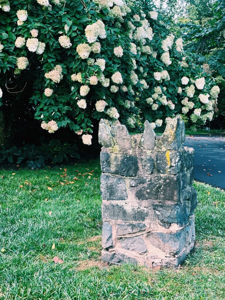 OLD STONE WALL IN FRONT OF HYDRANGEA