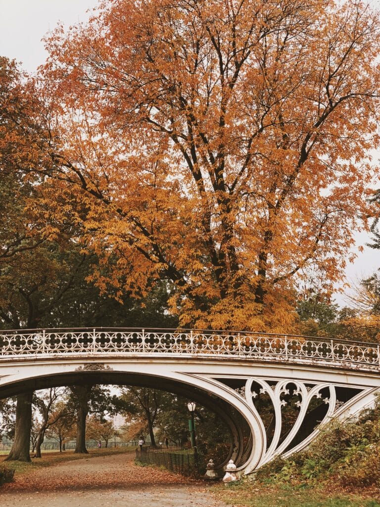 central park october