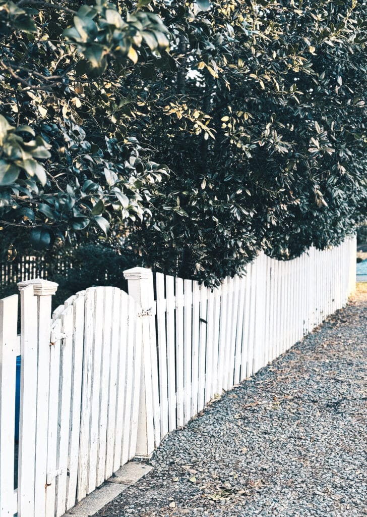 white gate with magnolia trees