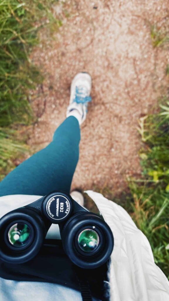 birding at hallam lake with fog in the background guide to aspen colorado
