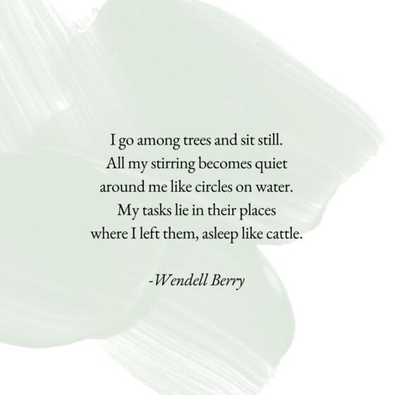 wendell berry trees