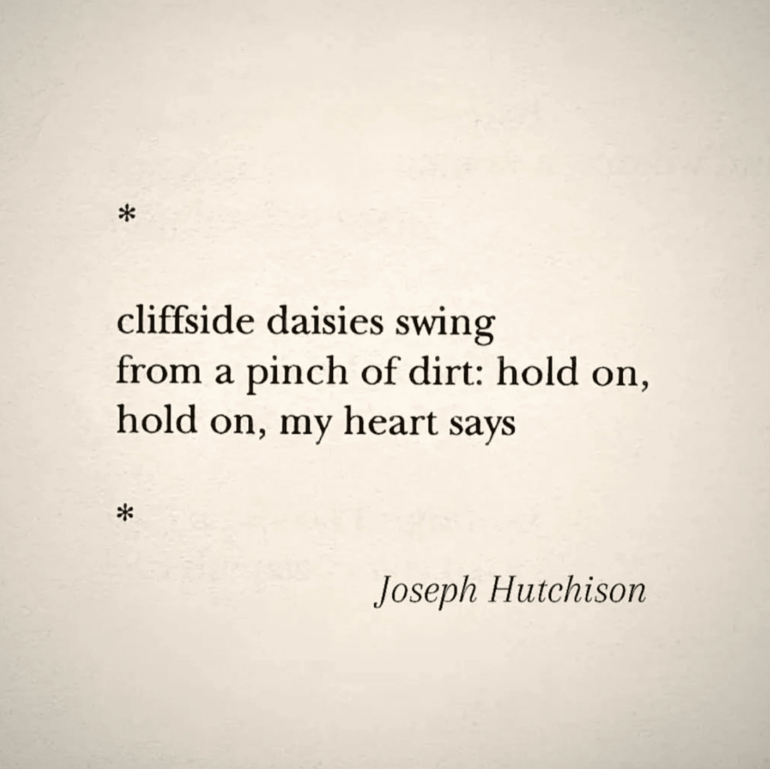 Text quote on a cream background reading: “cliffside daisies swing / from a pinch of dirt: hold on, / hold on, my heart says” – Joseph Hutchison.