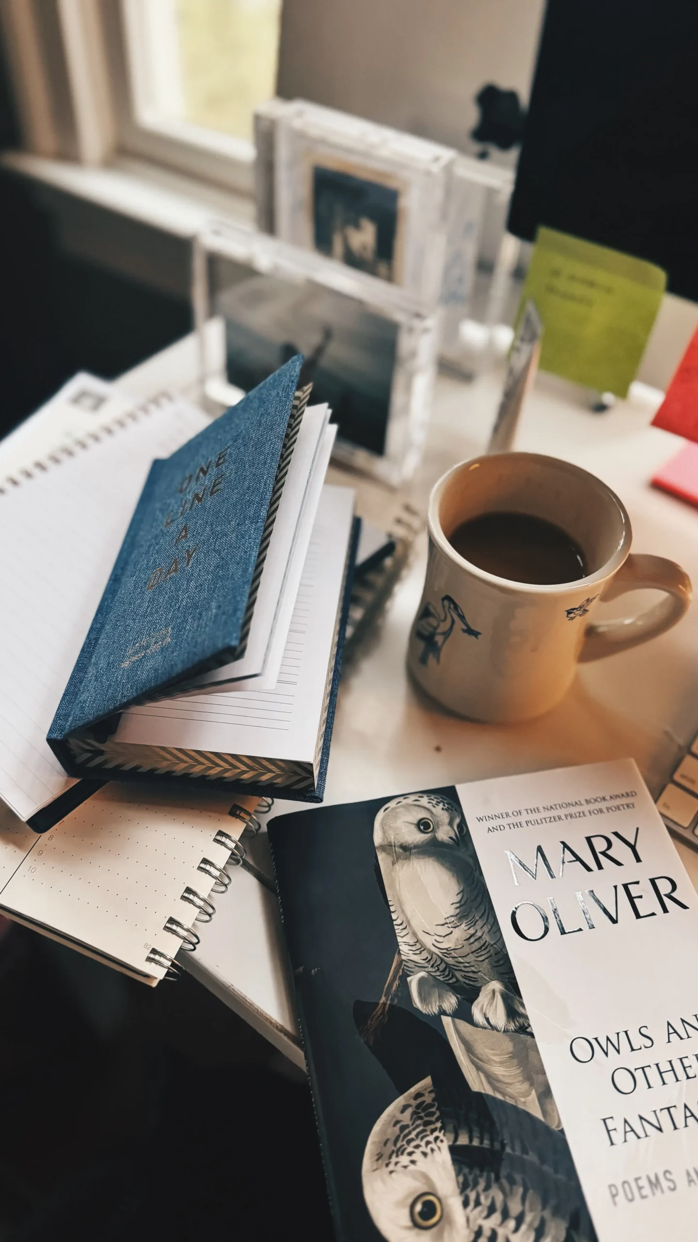 Mary Oliver owls book