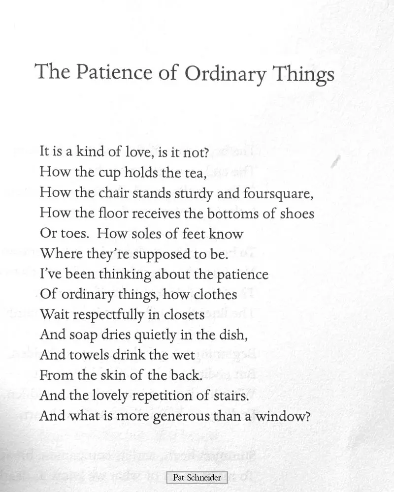 Pat Schneider Patience of Ordinary Things