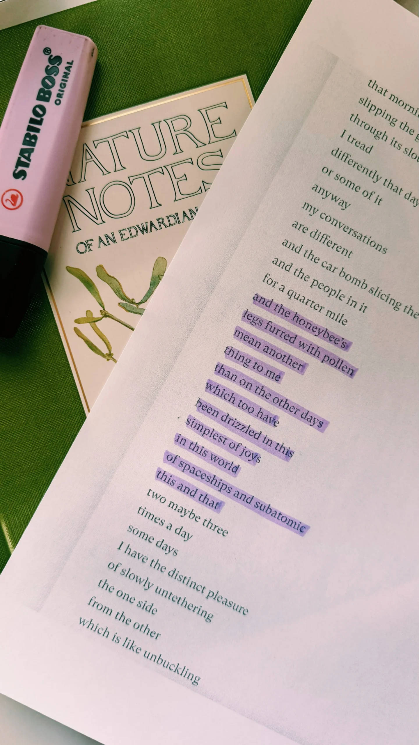 Ross Gay Unbuttoning Poem