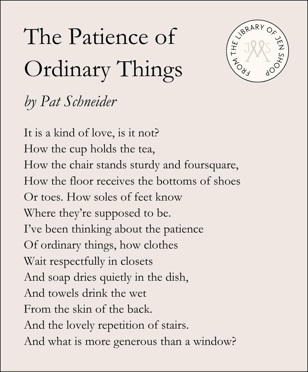 The Patience of Ordinary Things by Pat Schneider.