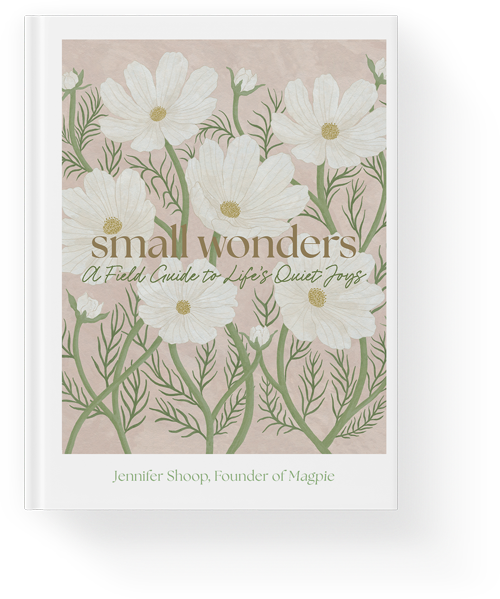 Small Wonders by Jennifer Shoop Book Cover