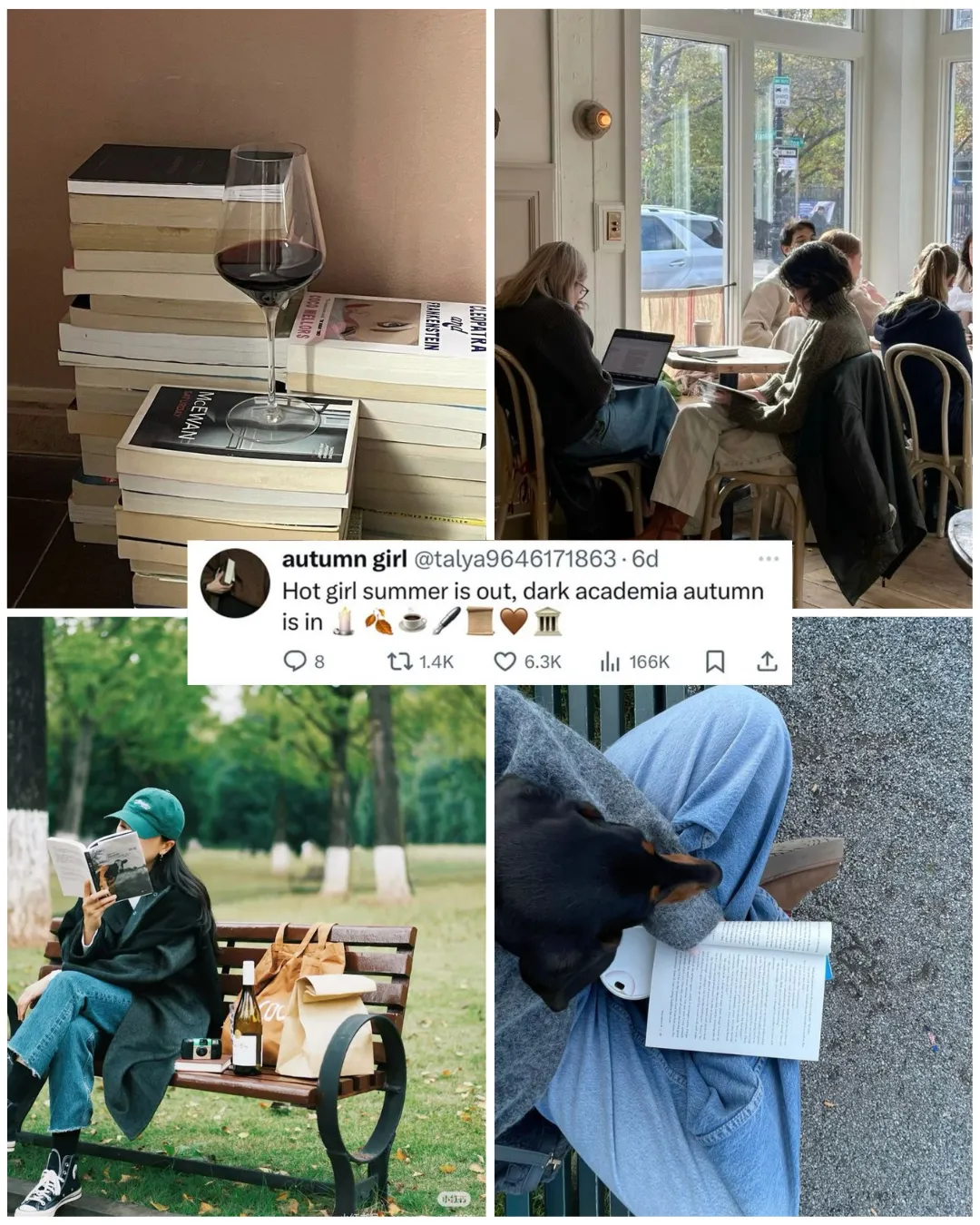 Collage of cozy fall reading moments—stacked books with a glass of red wine, people working in a sunlit café, a tweet about “dark academia autumn,” a person reading on a park bench with wine and a camera, and a dog resting on someone reading outdoors.
