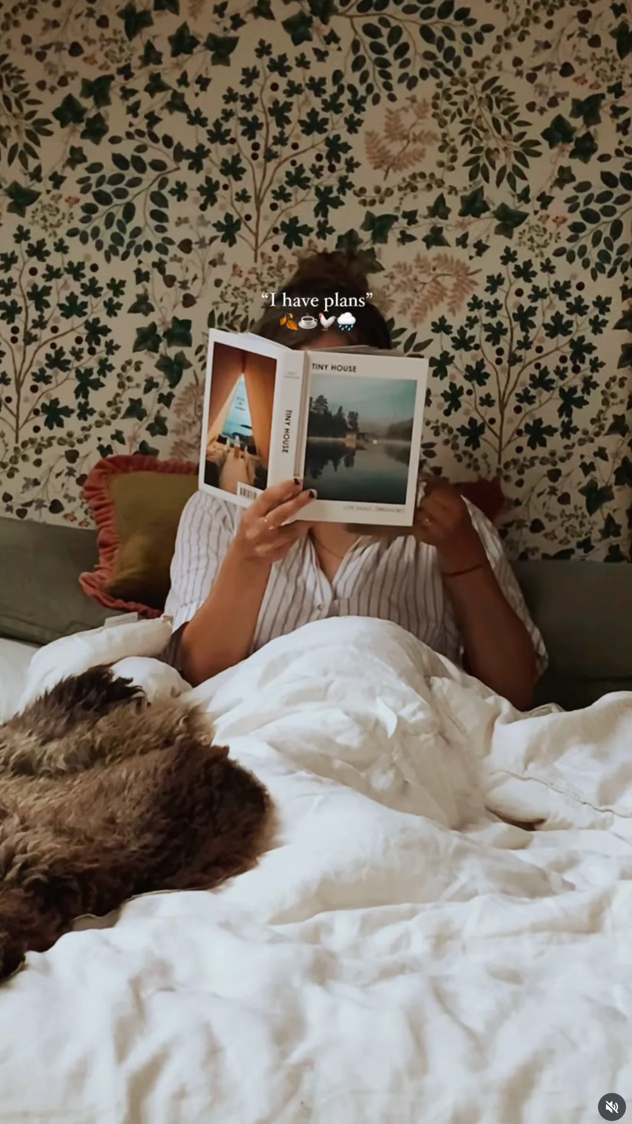 Person reading a book in bed with a dog, text overlay that says “I have plans”