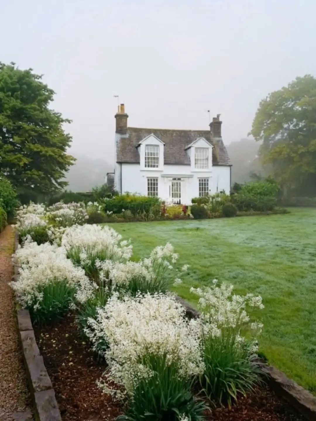 Country cottage in fog