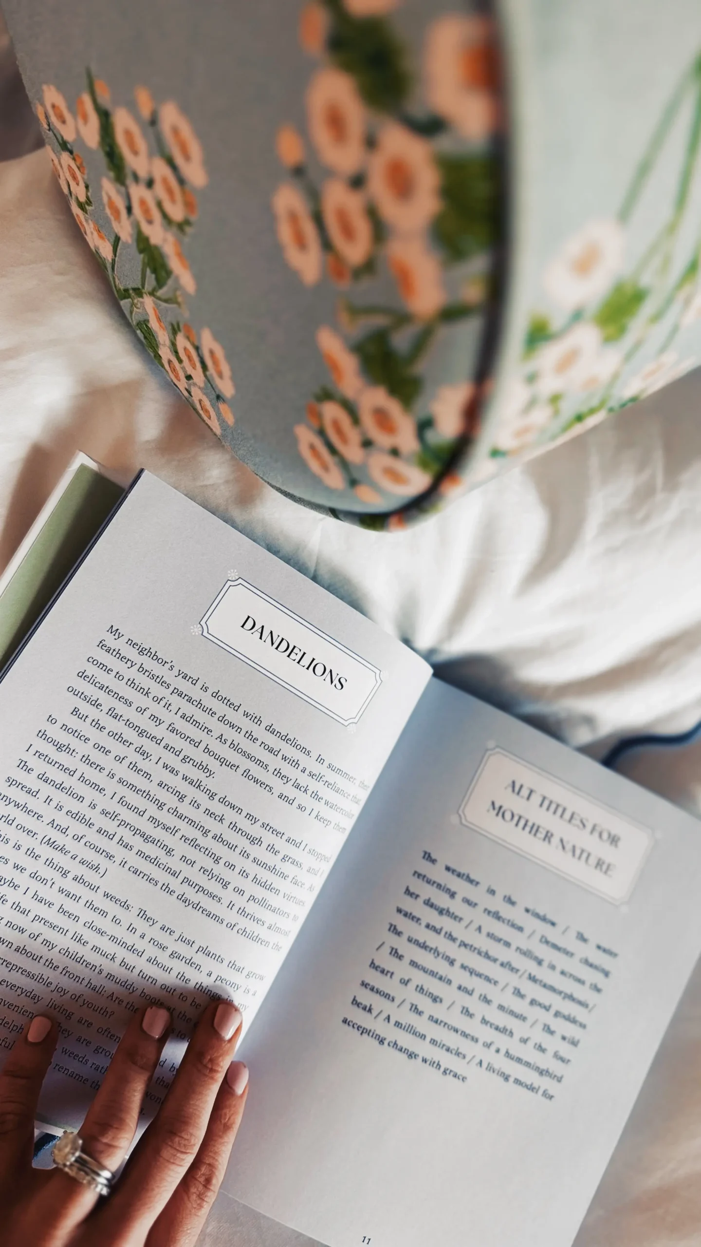 Dandelions by Jen Shoop