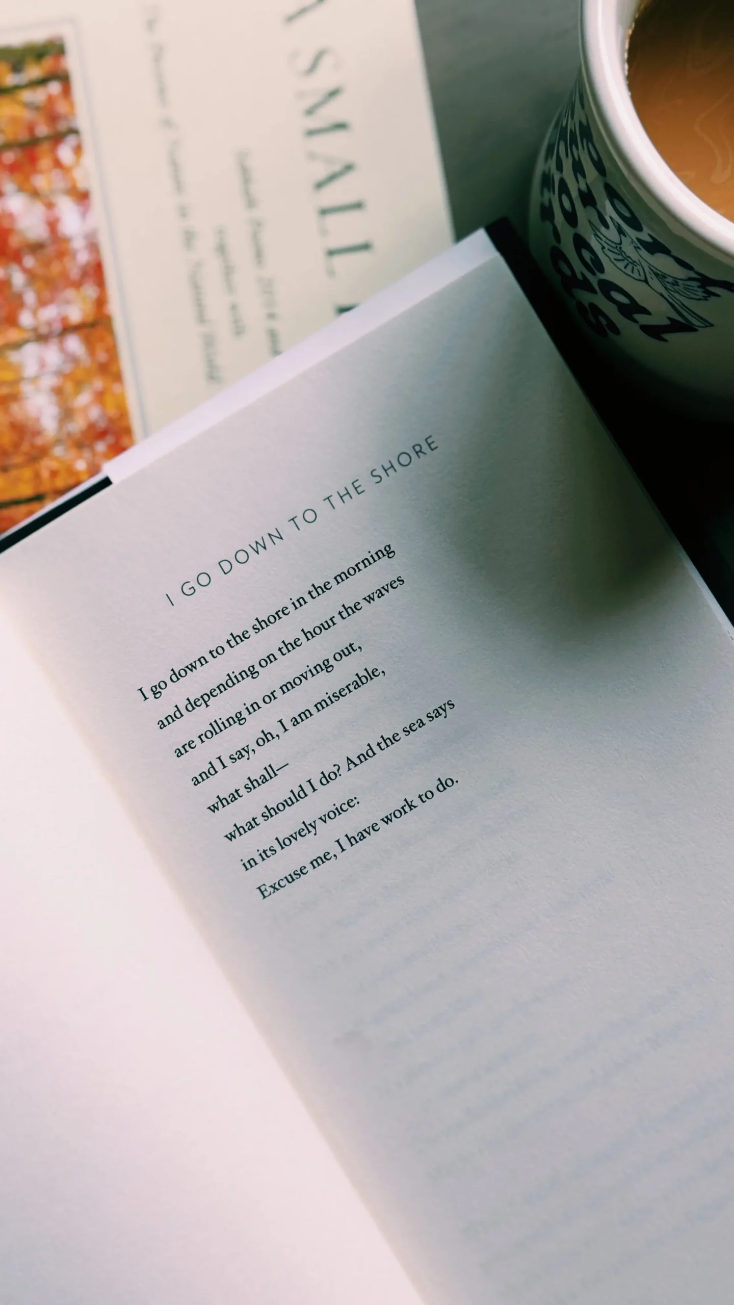 Mary Oliver Shore Poem