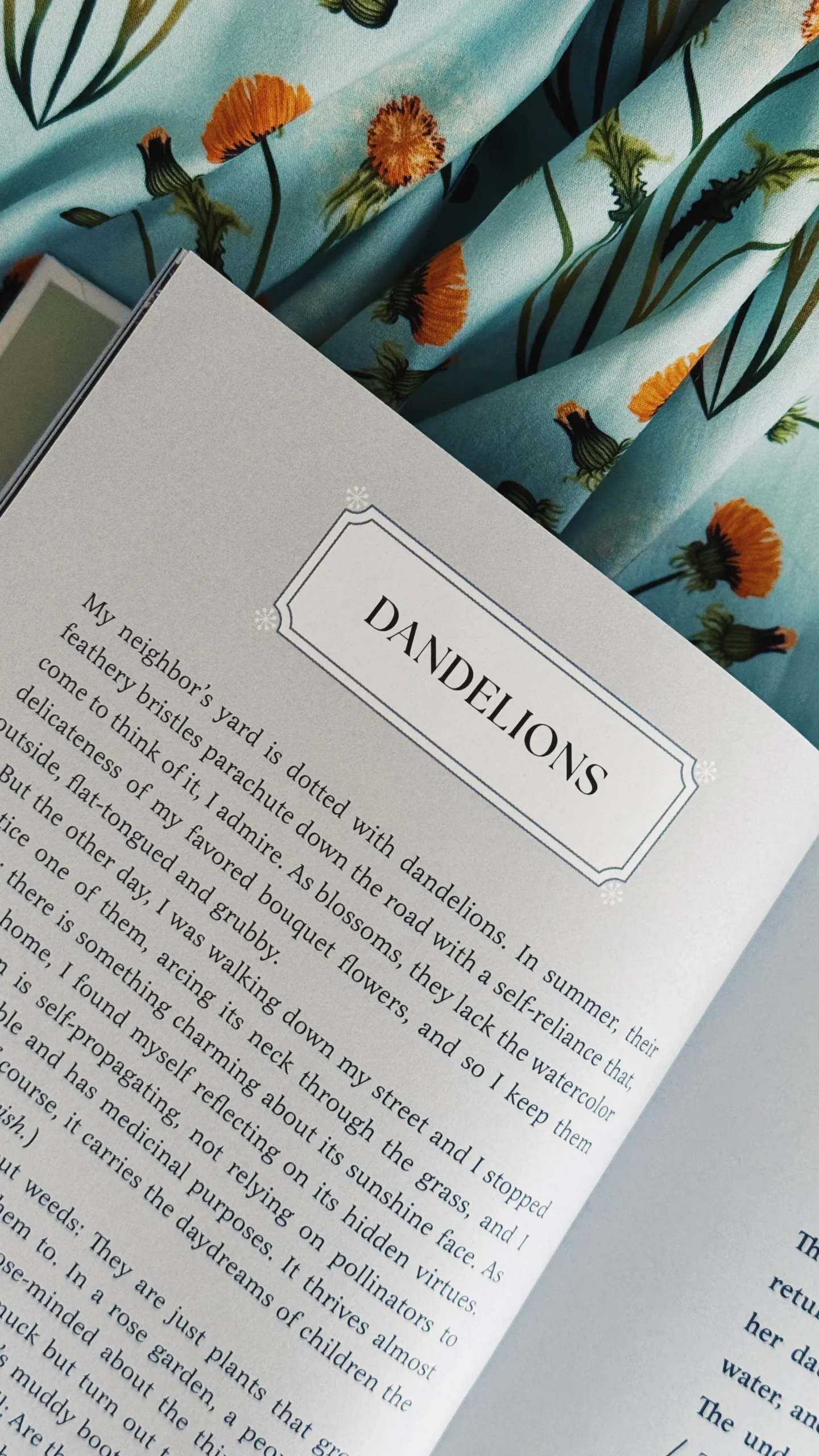 Magpie by Jen Shoop Dandelions Small Wonders