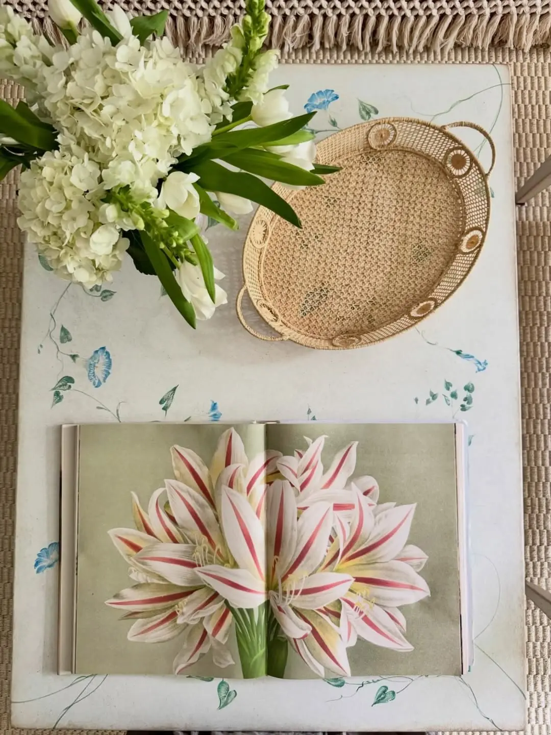 Jenny Holladay Design