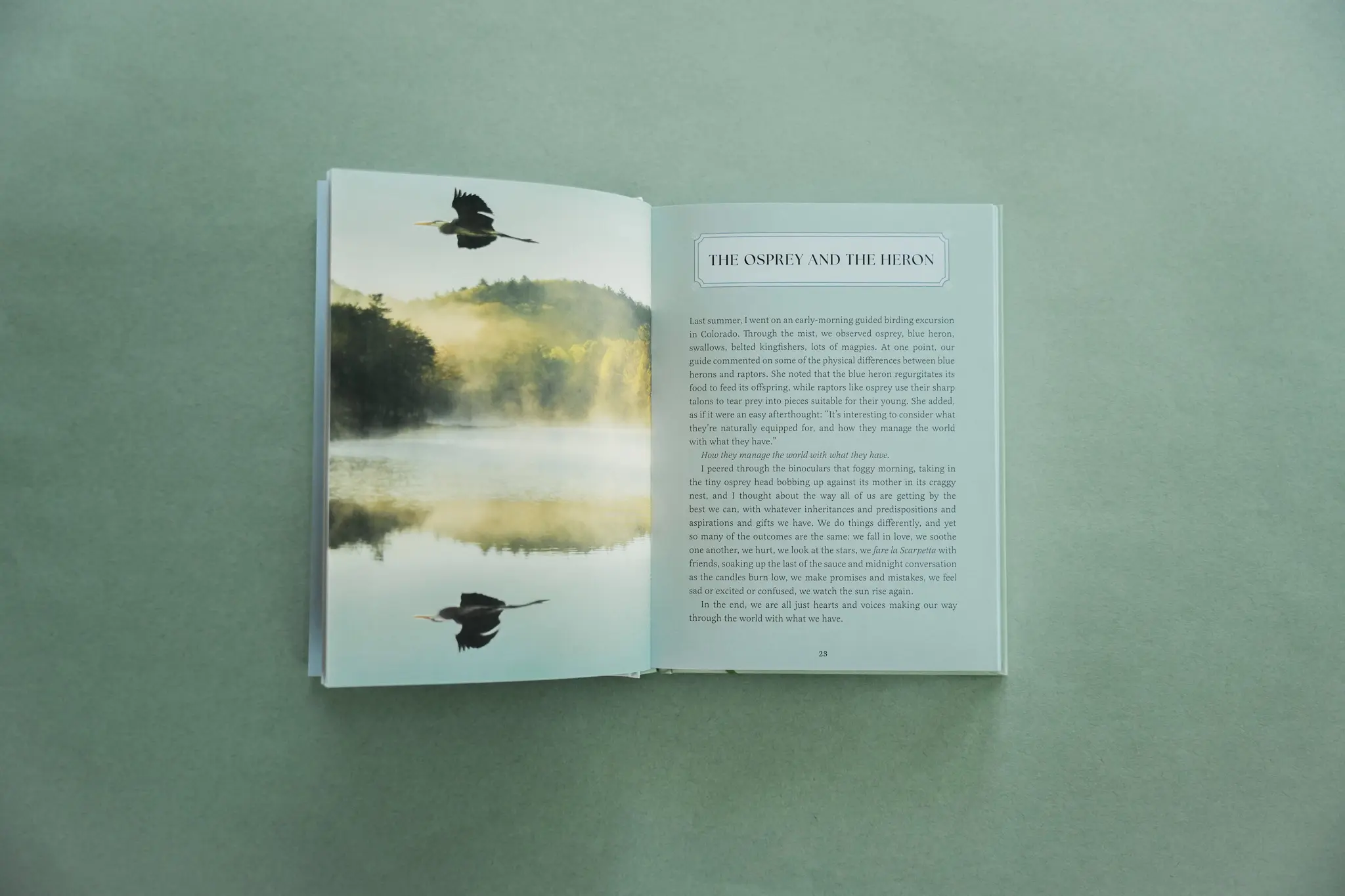 Heron Jen Shoop Small Wonders