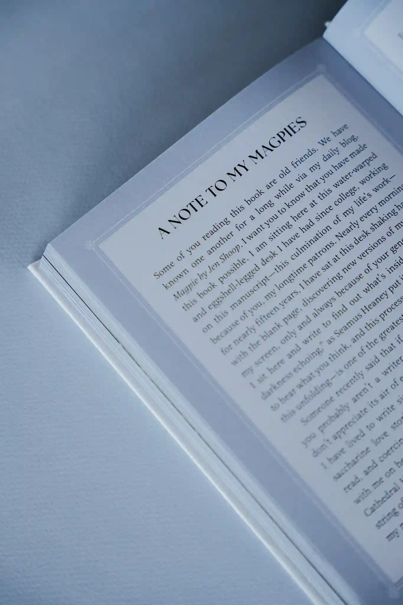 Small Wonders Interior