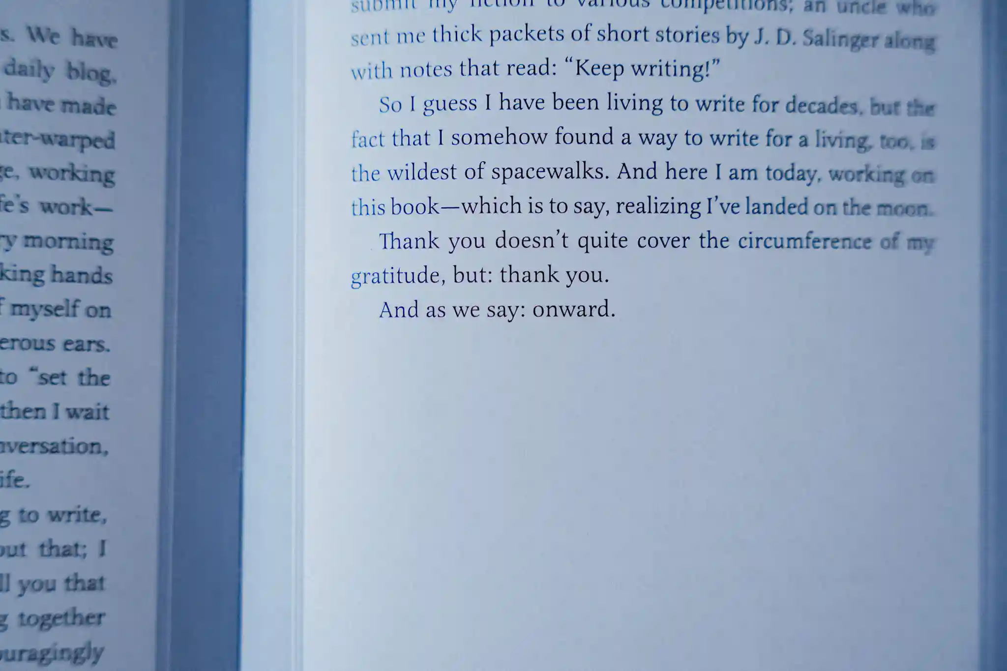 Small Wonders Interior