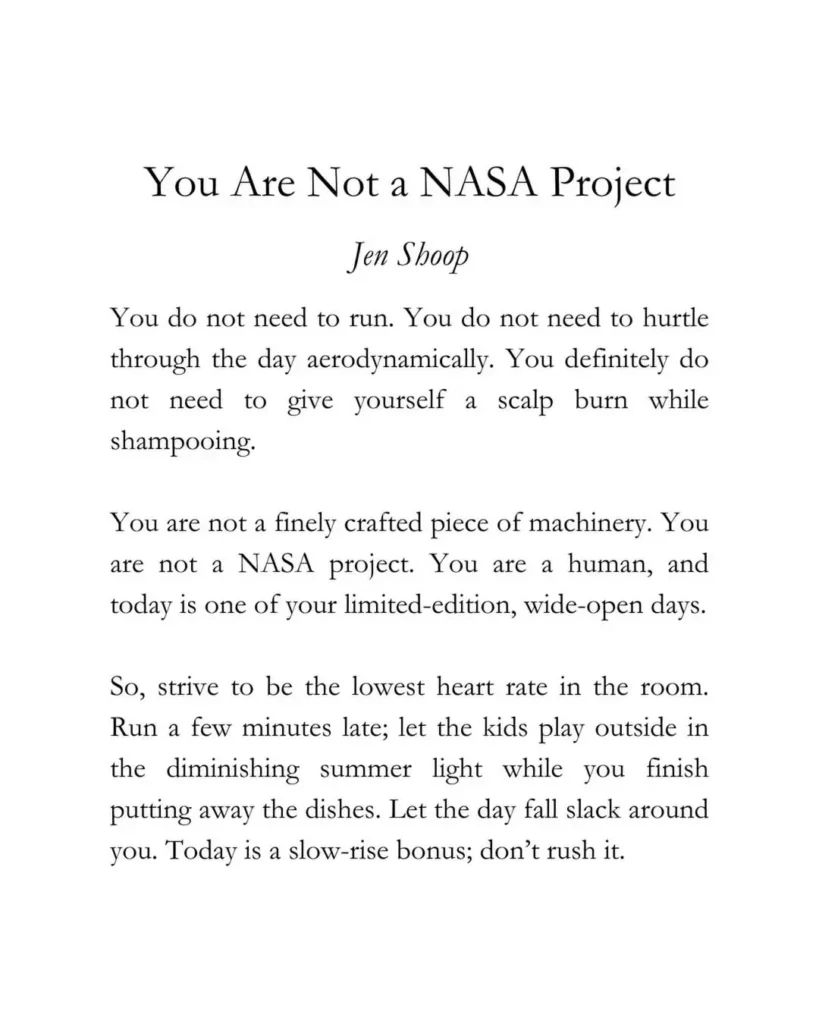 You are not a NASA project by Jen Shoop