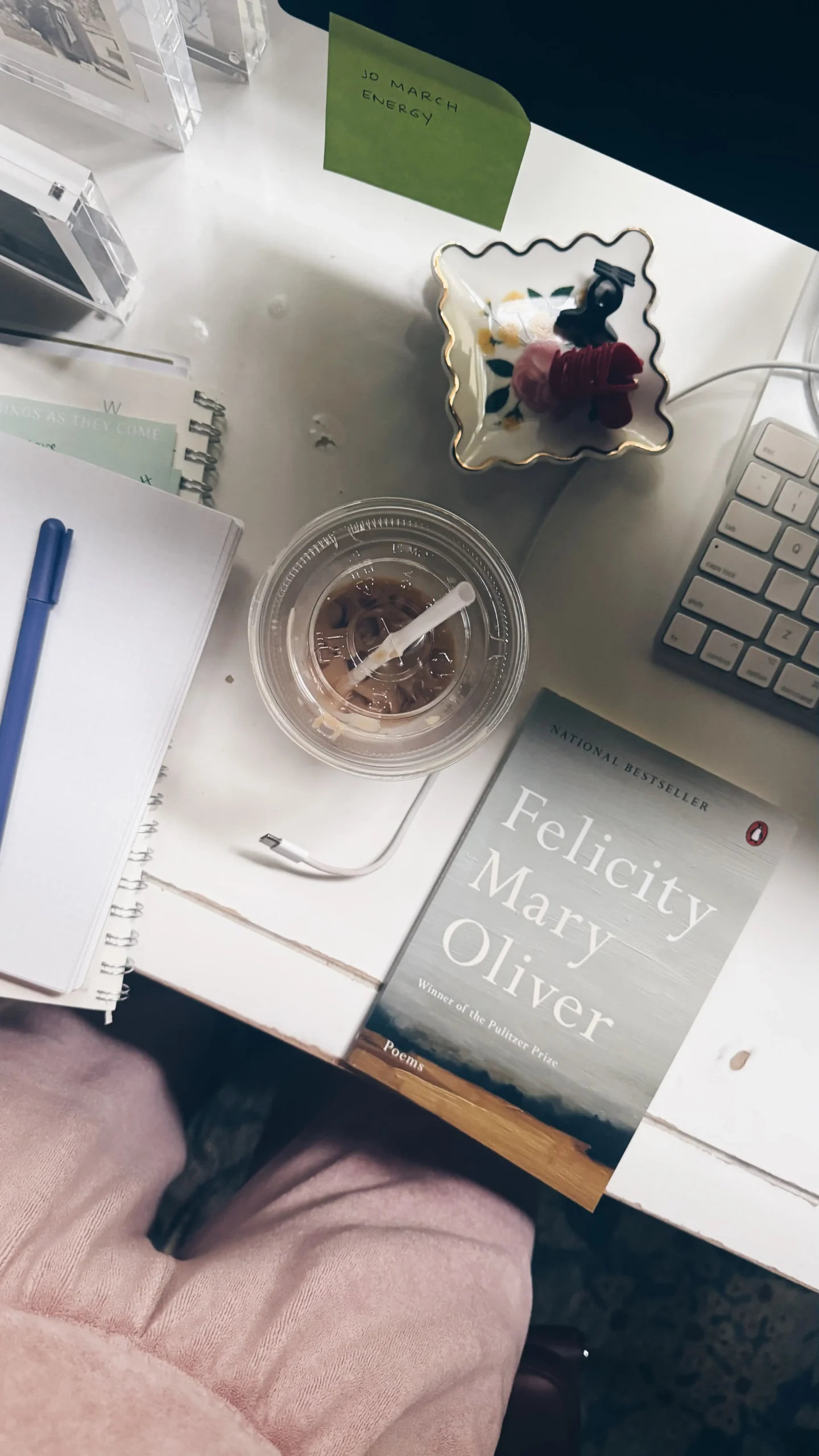 Mary Oliver Felicity Poetry