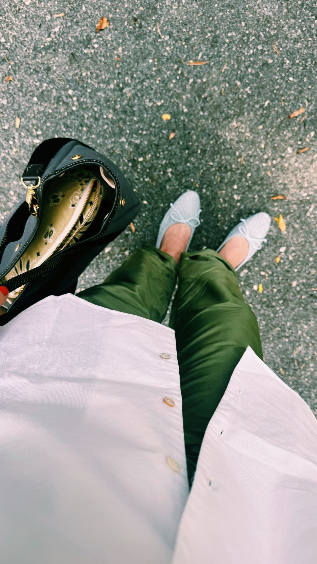 taffeta pants