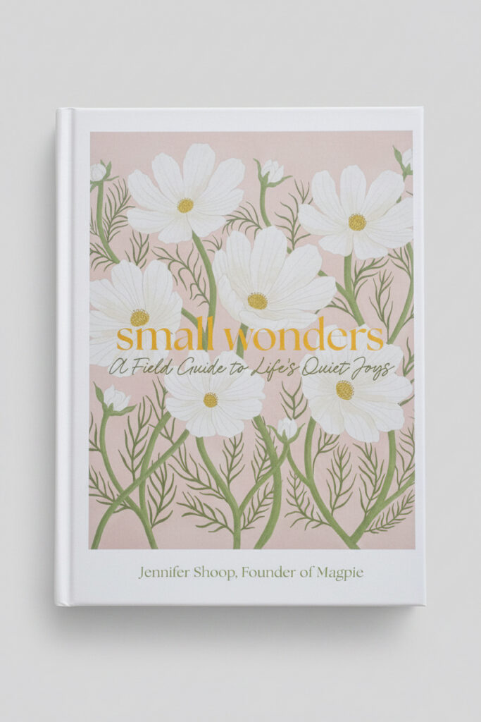 Cover of Small Wonders: A Field Guide to Life’s Quiet Joys by Jennifer Shoop