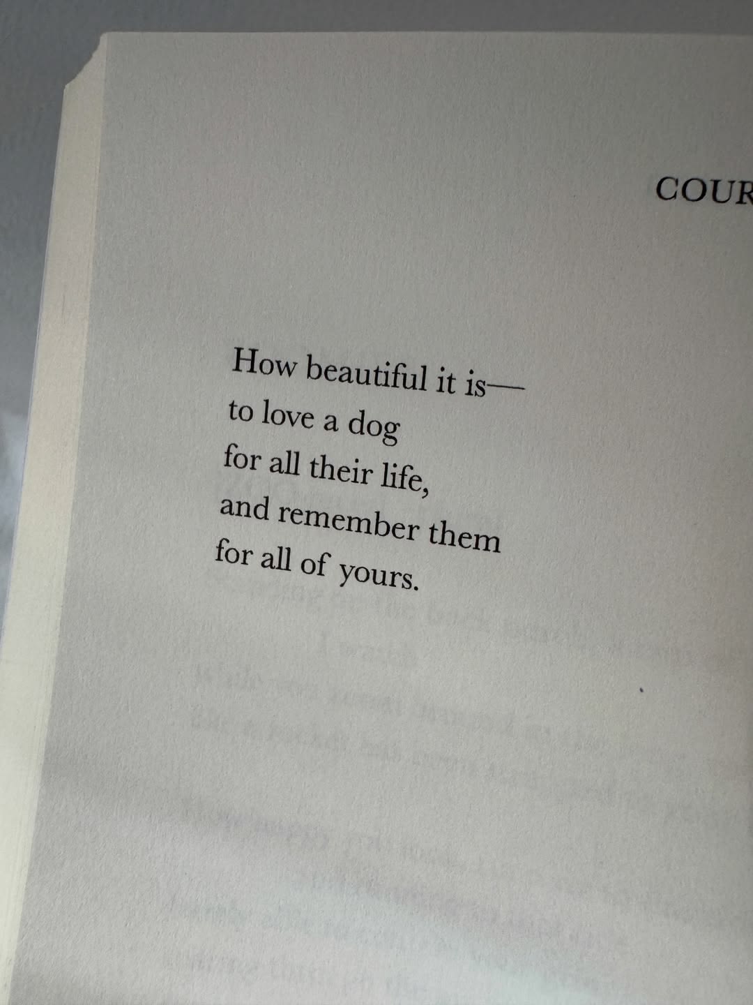 loving a dog poem