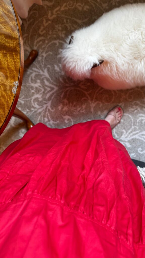 Red Poplin Dress