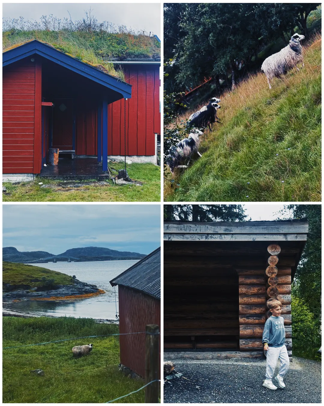 norwegian sodded roofs