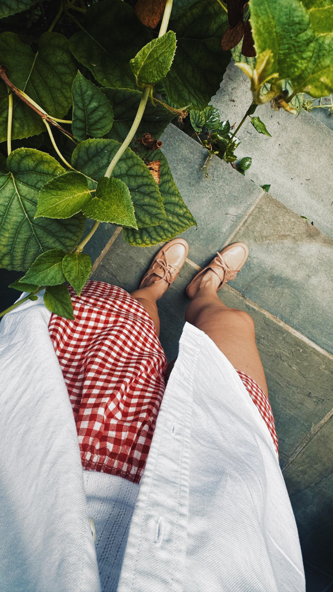 Gingham Boxer Shorts 
