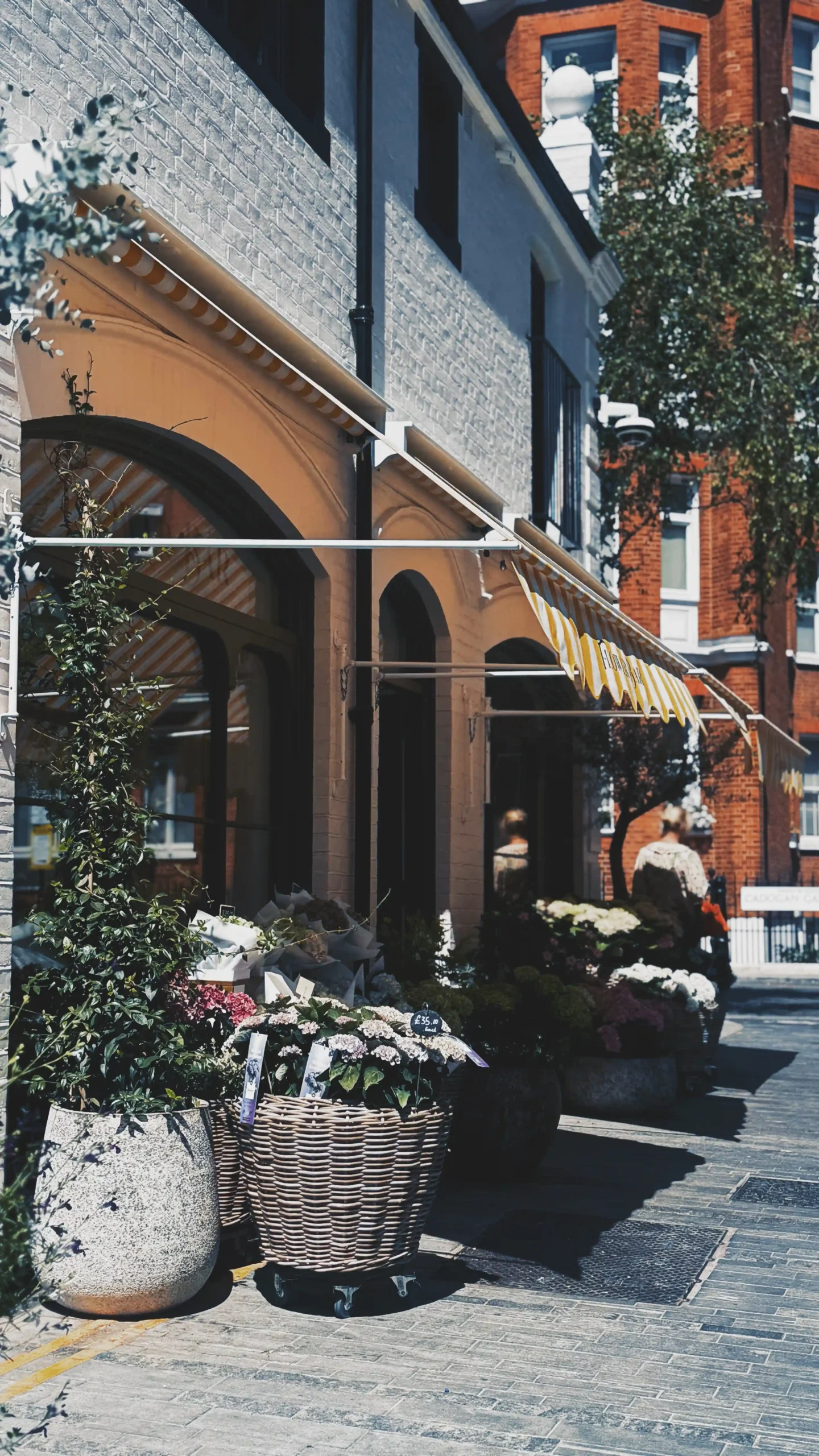 pavilion road london