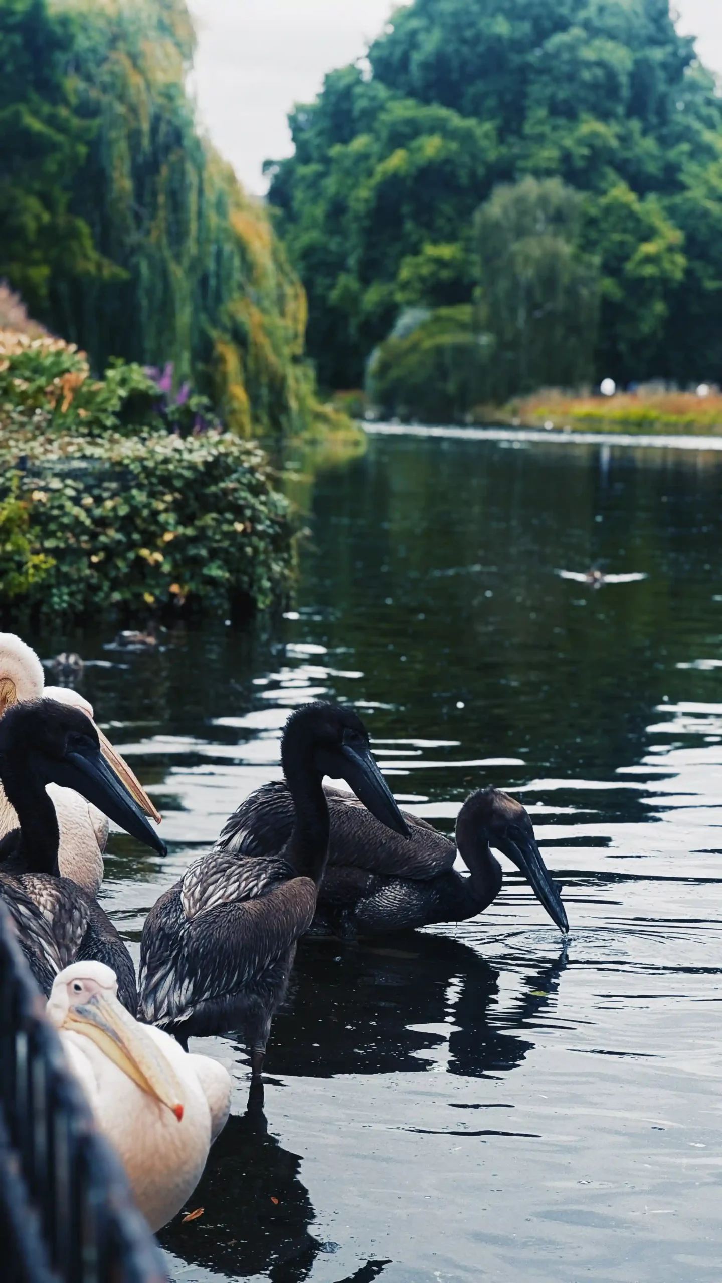 st james park
