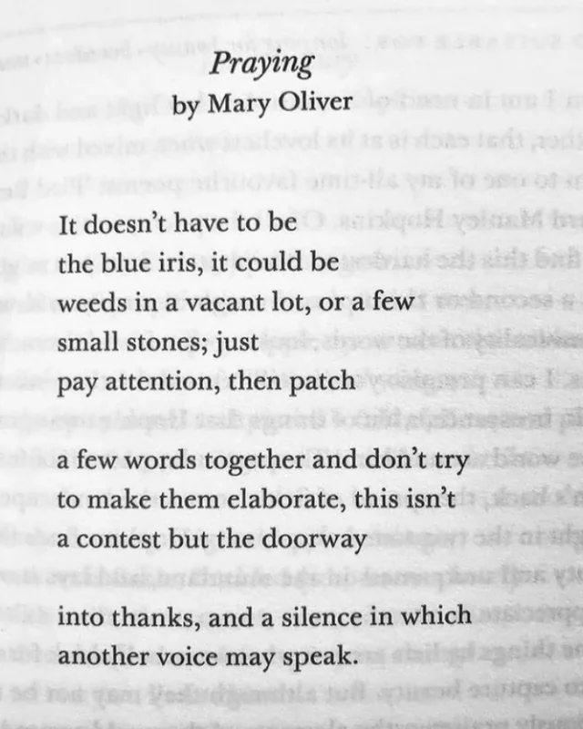 mary oliver praying