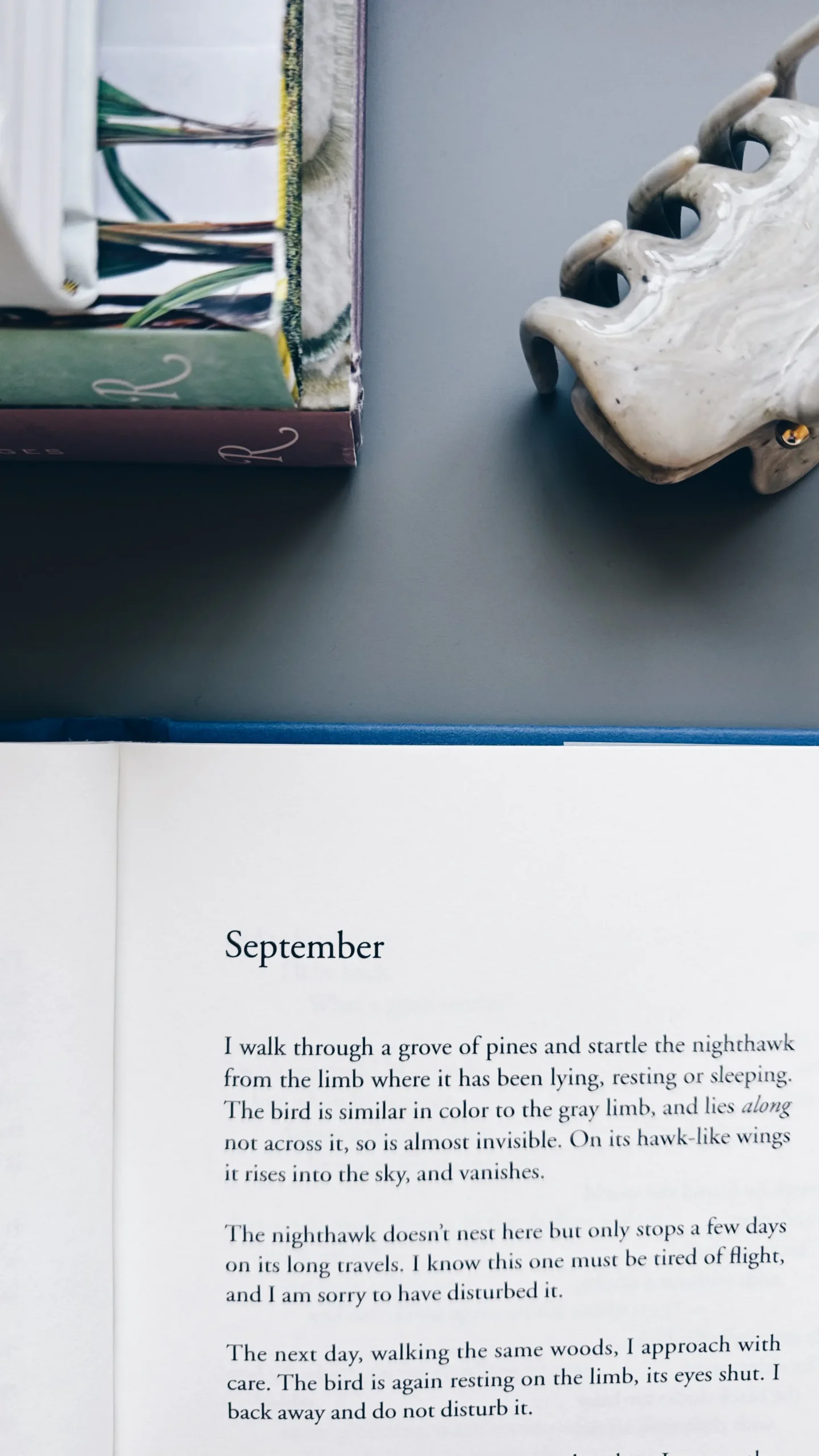 september mary oliver