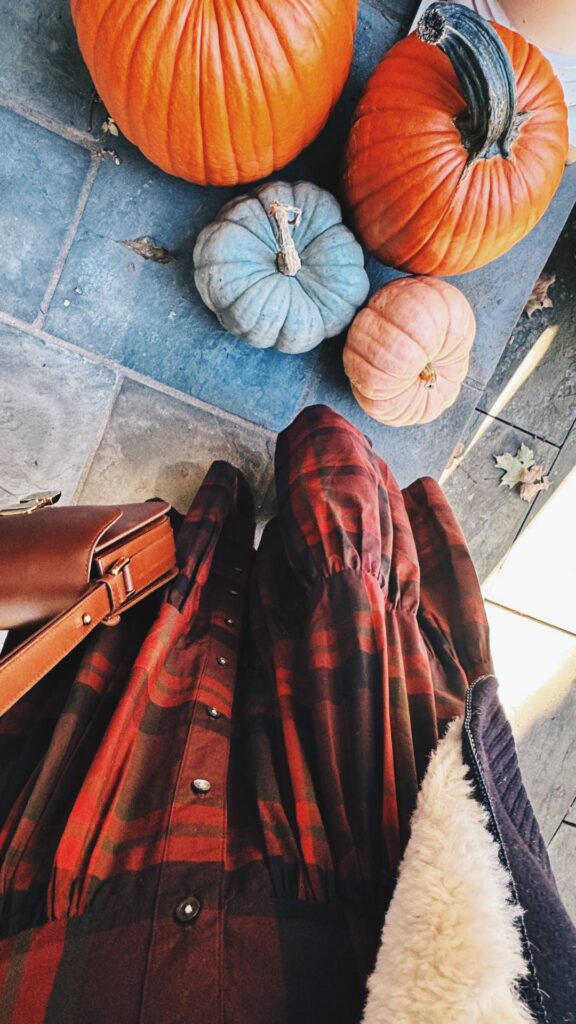 Plaid Shirtdress 