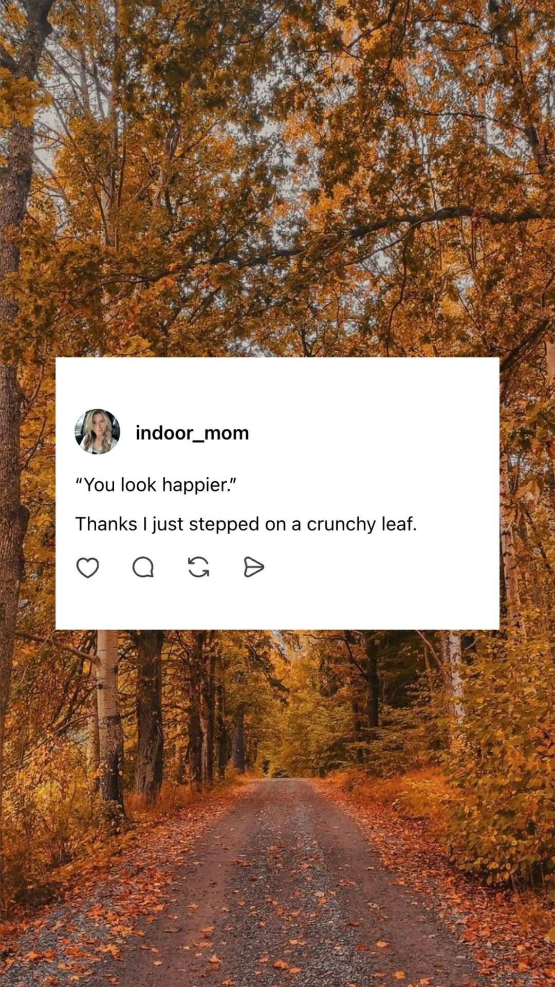 leaf crunching joy